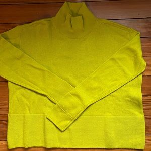 EUC Everlane 100% Cashmere Mockneck Sweater XS